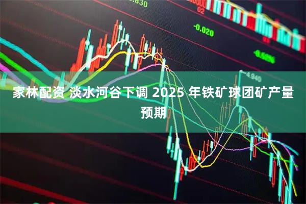 家林配資 淡水河谷下調(diào) 2025 年鐵礦球團(tuán)礦產(chǎn)量預(yù)期