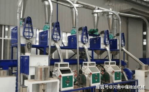 高效生產，靈活加工 小中大型玉米面加工設備與柔性材料加工設備的技術與應用解析