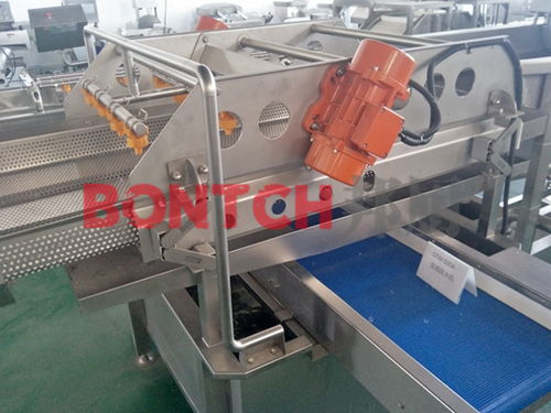 高效智能，綠色健康 現代化凈菜加工設備與生產線的革新與應用