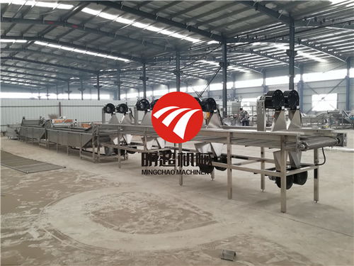 凈菜與柔性材料加工設(shè)備 智能升級(jí)如何破解人工操作困局